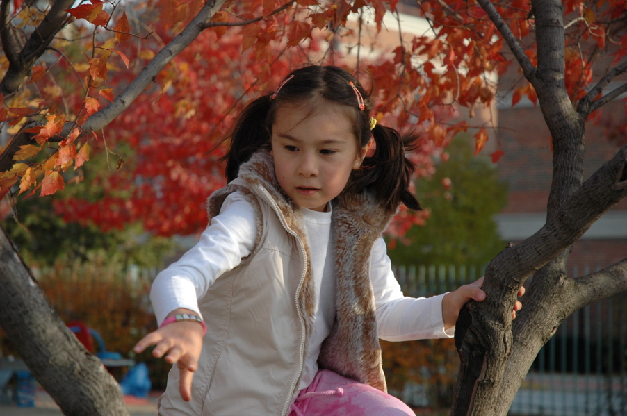 DSC_2803.JPG
